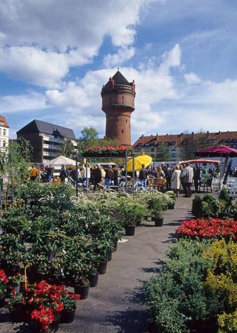 ברמרהבן Familien Fewo Wohnung 1 Mit Kinder Spielecke Erdgeschoss An Der Muhle Am Wochenmarkt מראה חיצוני תמונה